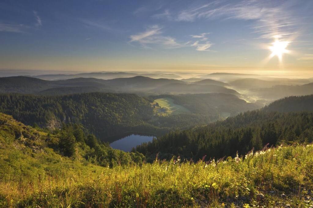 Waldblick Titisee Extérieur photo